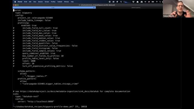 DataHub 101: Data Profiling смотреть онлайн