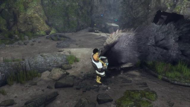 Прохождение The Last Guardian с русскими субтитрами без комментариев 
Часть 10