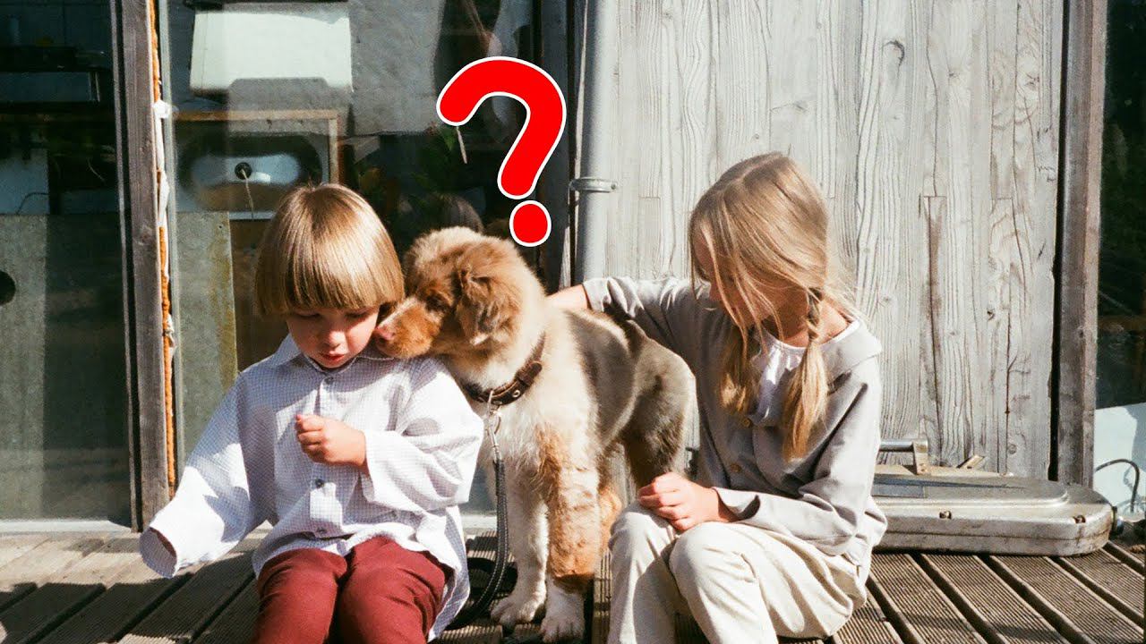 Почему дети человека растут гораздо дольше по сравнению с другими животными? смотреть онлайн