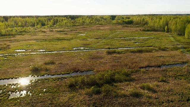 Участок Всеволожск смотреть онлайн