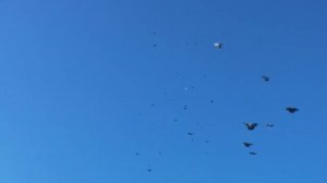 Над крышей голуби летают Саша Байкальский