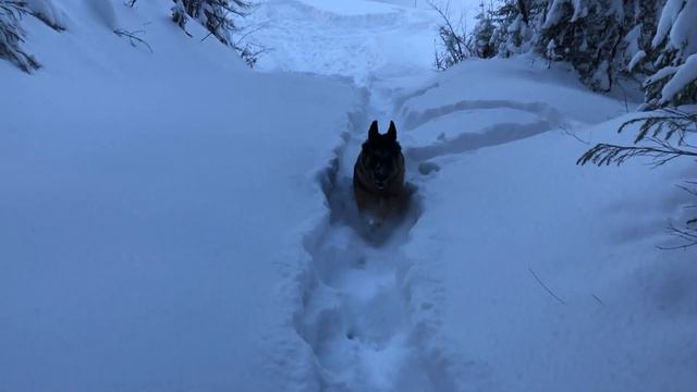 Прошёл 30 метров? смотреть онлайн