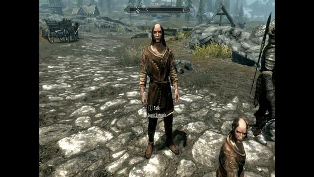 Skyrim Bug