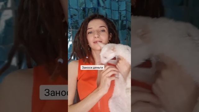 Идеал) #кот #мужчины #мужьяижены #битваполов #отношения #вбраке #семья #family смотреть онлайн