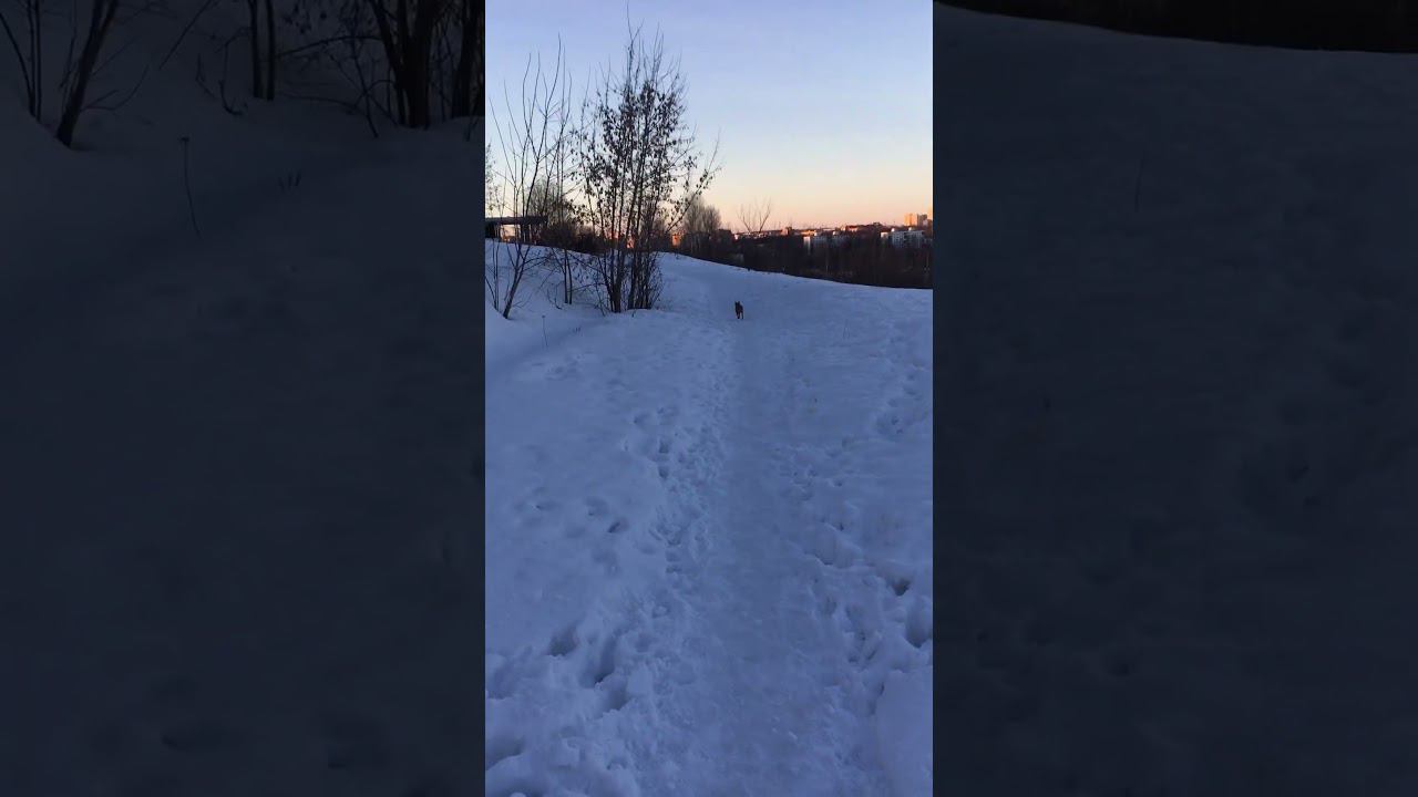 Бубочка и я на прогулке) смотреть онлайн