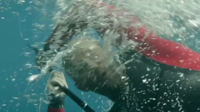 МЕГАЛОДОН из фильма МЕГ: Монстр глубины смотреть онлайн