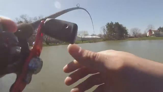 This is Apex Fishing смотреть онлайн