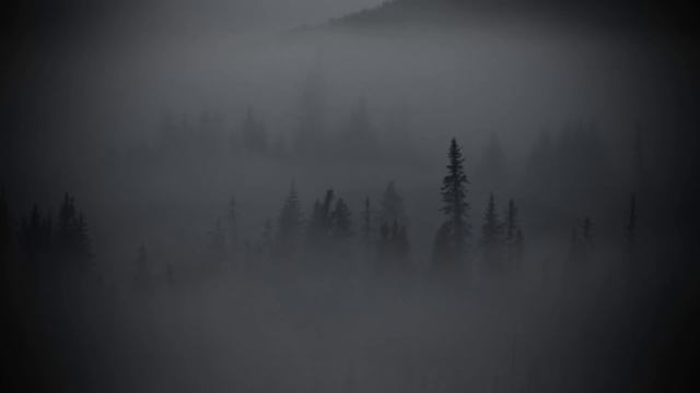 5 Allegedly True SCARY Skinwalker Encounter Stories | Cryptid Horror Stories (Ft. MrCreepyPasta) смотреть онлайн