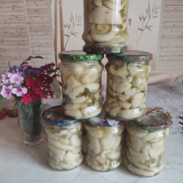 Сибирская рыбачка 54RUS