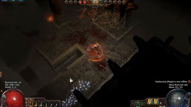 Path Of Exile - Хроники Валькирии: День 38 (часть 2)