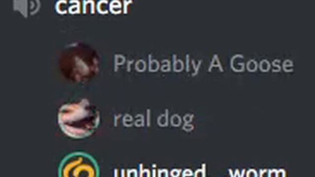 two idiots laughing at a simple discord function for two minutes смотреть онлайн