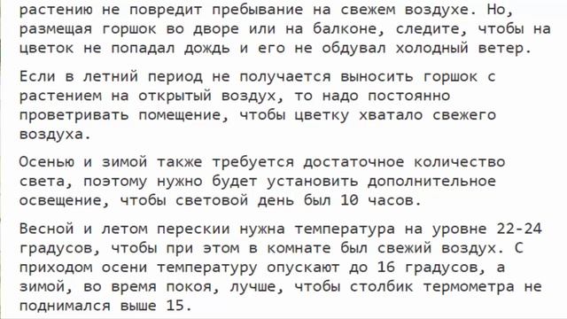 Переския: уход в домашних условиях полив размножение. смотреть онлайн