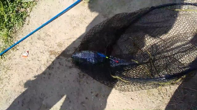 Рыбалка Гарант в Вернем Мячково, ловим форель, Сергей Мартюшев & Зелёный смотреть онлайн