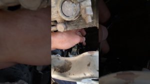 перегорает предохранитель после установки лэд ламп на ваз одна из причин.