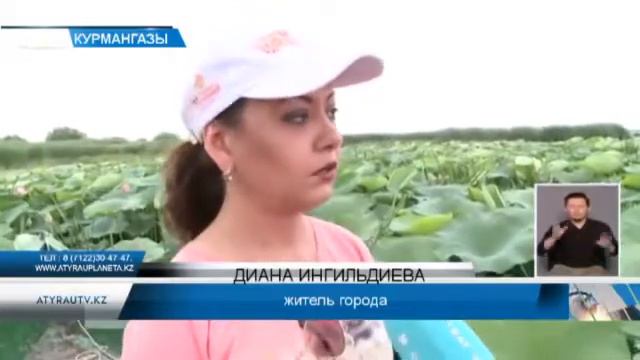 Лотос смотреть онлайн