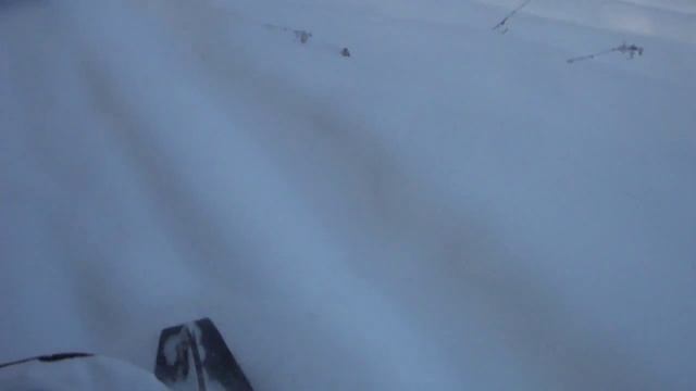 Рысь глиссирует смотреть онлайн