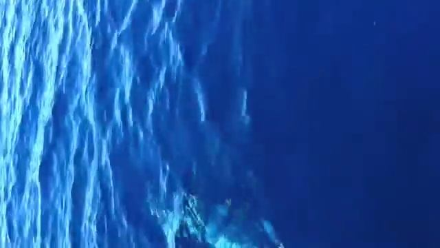 tonno rosso a montalto di castro смотреть онлайн