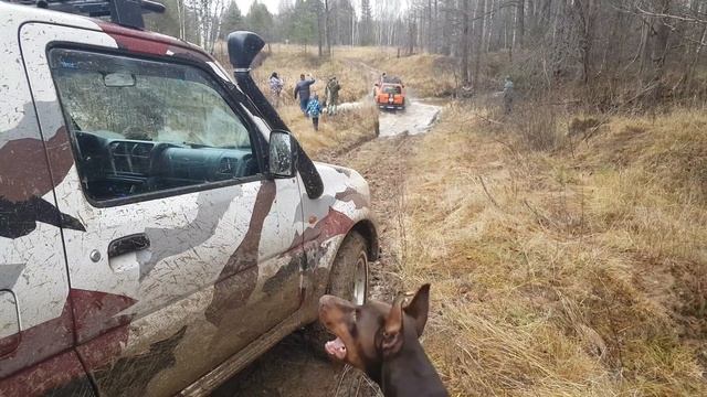 Соренто vs брод? Джимни валит смотреть онлайн