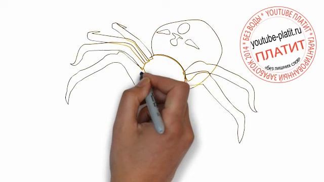 Как нарисовать черного паука крестовика карандашом смотреть онлайн