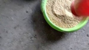 Домашний Комбикорм Старт обновленный для цыплят перепелов  своими руками без рыбной муки