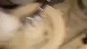 Leksus RX350 Замена ремня поликлинкового и ролика