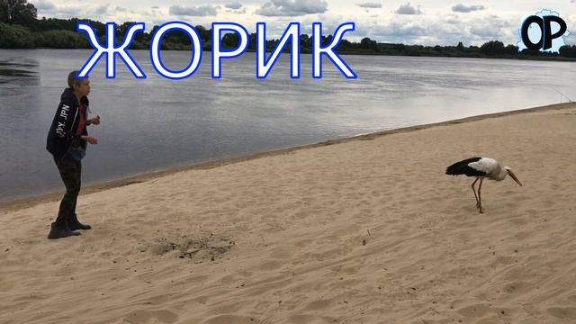 УСТЯ – достояние республики. Больше таких мест в стране нет. смотреть онлайн