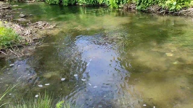 Харьков новости/08.05.22/Обзор цен продуктов/Курс/Топливо