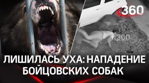 Видео: нападение бойцовских собак на женщину в Сочи