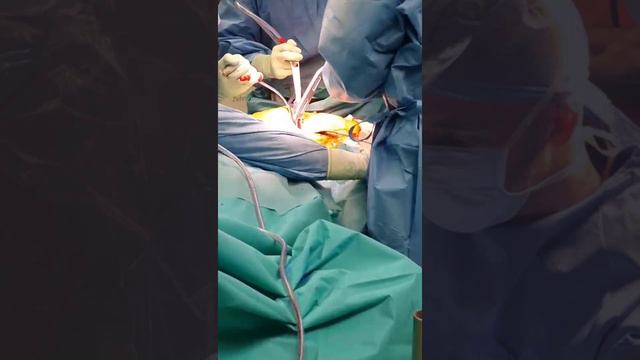 Dr Kristian Kley’s Modified Rottinger Approach for Total Hip Replacement Surgery смотреть онлайн