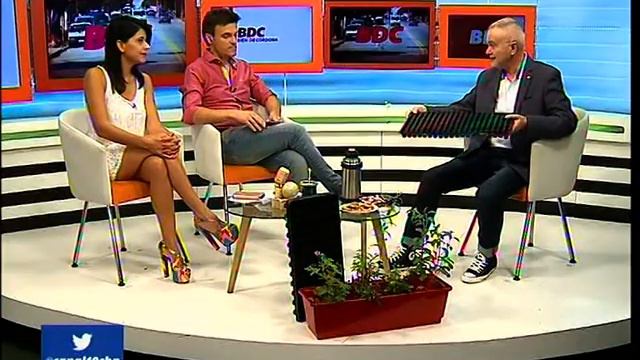 ¿Cómo preparar la huerta familiar en diciembre? смотреть онлайн