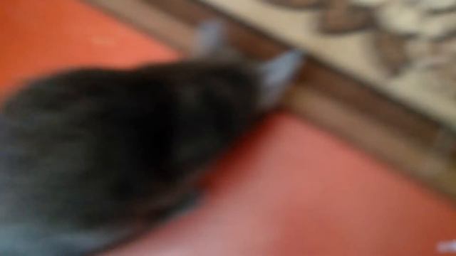 Как зачистить медное жало паяльника смотреть онлайн