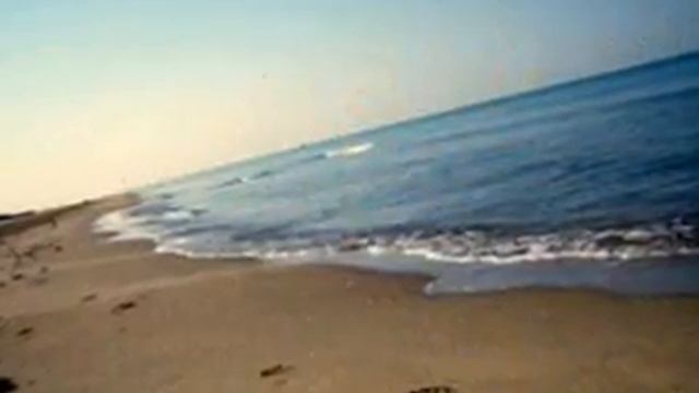 Tirrenia Beach Italy смотреть онлайн