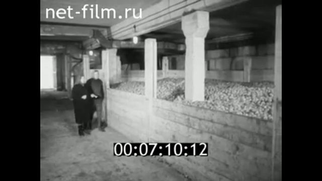 1973г. колхоз Большевик Гусь- Хрустальный район Владимирская обл смотреть онлайн