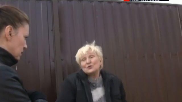 Леопарды живут на даче в Рузском районе смотреть онлайн