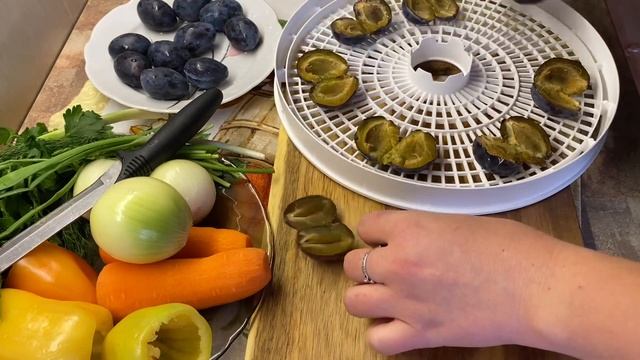 Домашняя ВЕГЕТА и фруктовые ЧИПСЫ в сушилке Мастерица EFD-0903VM смотреть онлайн