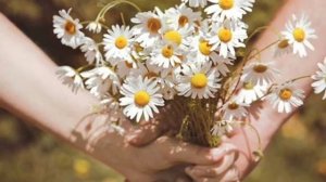 Женя Шима. - Любит ли Сашка.mp4