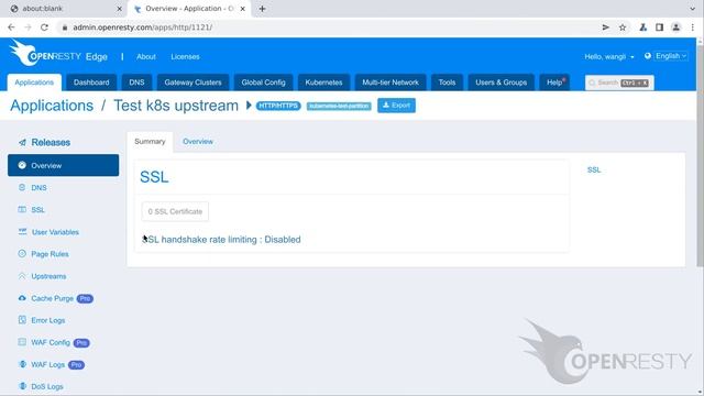 Managing traffic to Kubernetes (K8s) upstreams in OpenResty Edge смотреть онлайн