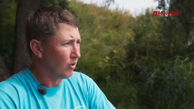 Фидер на реке. Лещ. Ловля мирных рыб смотреть онлайн