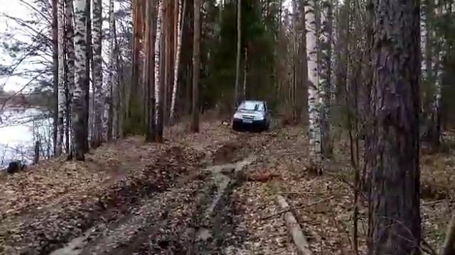 Шнива в миллиметре от краха. смотреть онлайн