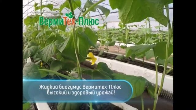 Жидкий биогумус смотреть онлайн