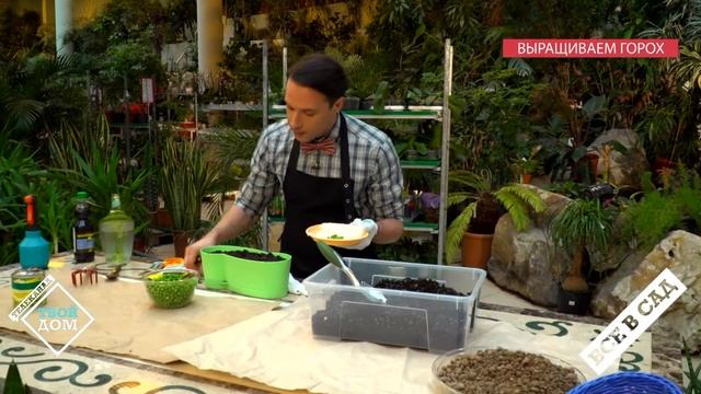 Ремонтные Историки