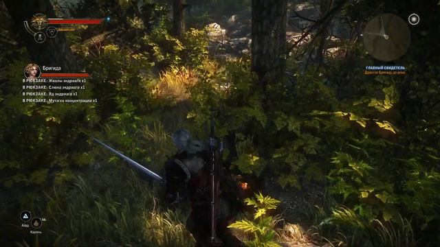 Witcher 2 ч36 Маленькие большие секреты смотреть онлайн