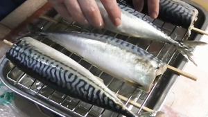 Скумбрия провесная - деликатес своими руками.