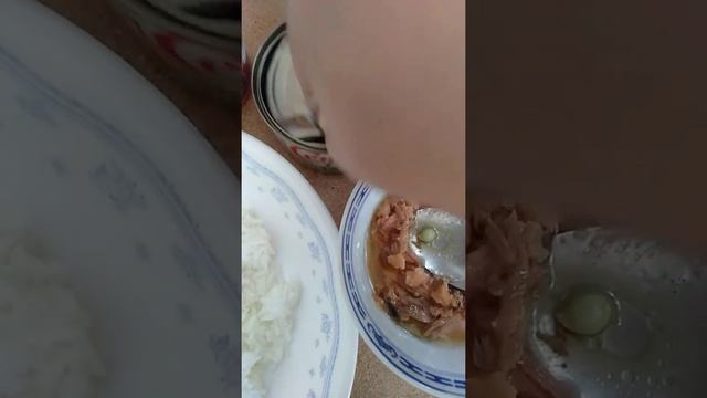 My Happy Tummy With Century Tuna#shorts@mudzlopez