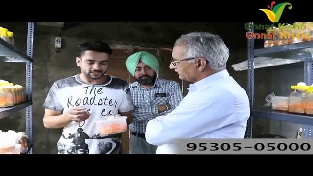 Cordyceps Militaris Farming at home | Earn upto 3 lakhs per Kg & in crores whole ?? смотреть онлайн