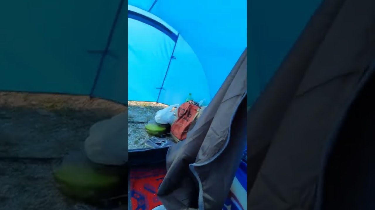 Наше лежбище) смотреть онлайн