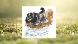 Е. Чарушин "Тюпа, Томка и сорока"