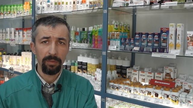 переноска для кота в самолёт смотреть онлайн