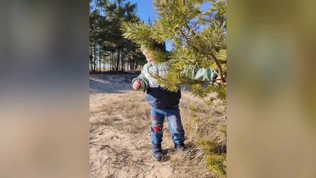 Путешествие. г. Сосновый бор Ленинградская область смотреть онлайн