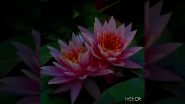 Исцеление Звуком ВОЗНЕСЕНИЯ ? Мантра Матрица Гаряева ? Чистка Души ? Здоровье человека ? Что лечит смотреть онлайн